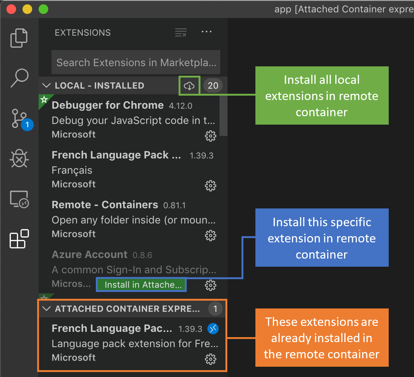 Remote Extensions view