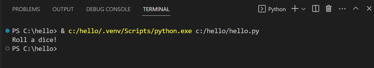 Program output in a Python terminal