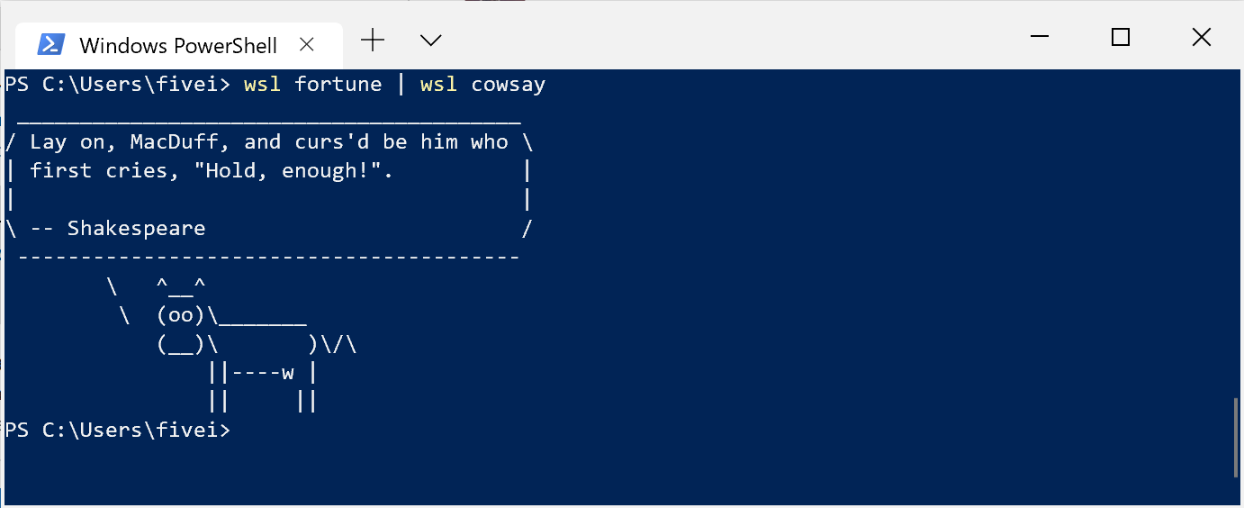 using-vs-code-with-wsl-reverasite