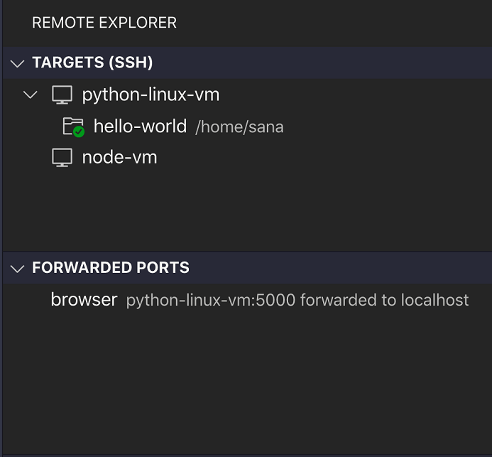Connected to python-linux-vm host machine