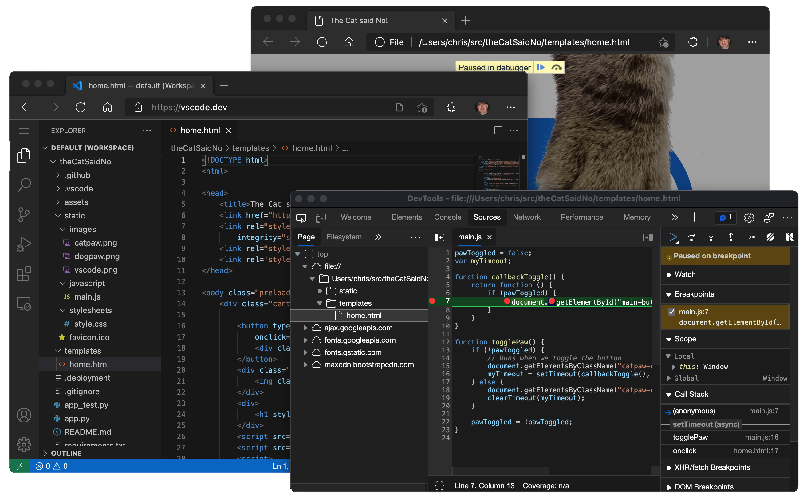 "The Cat said No" application source code in vscode.dev