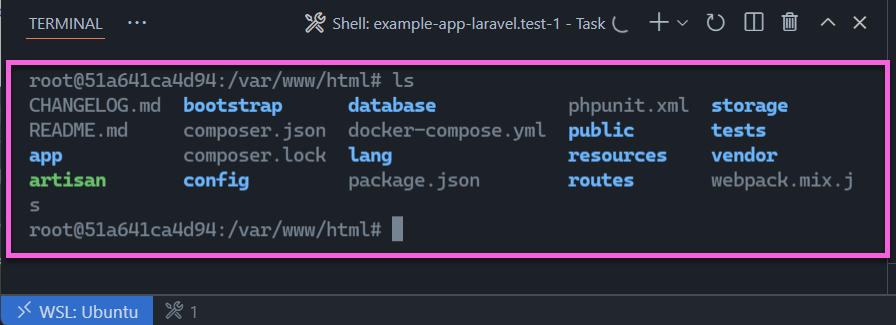 The file structure of the Laravel project in a container