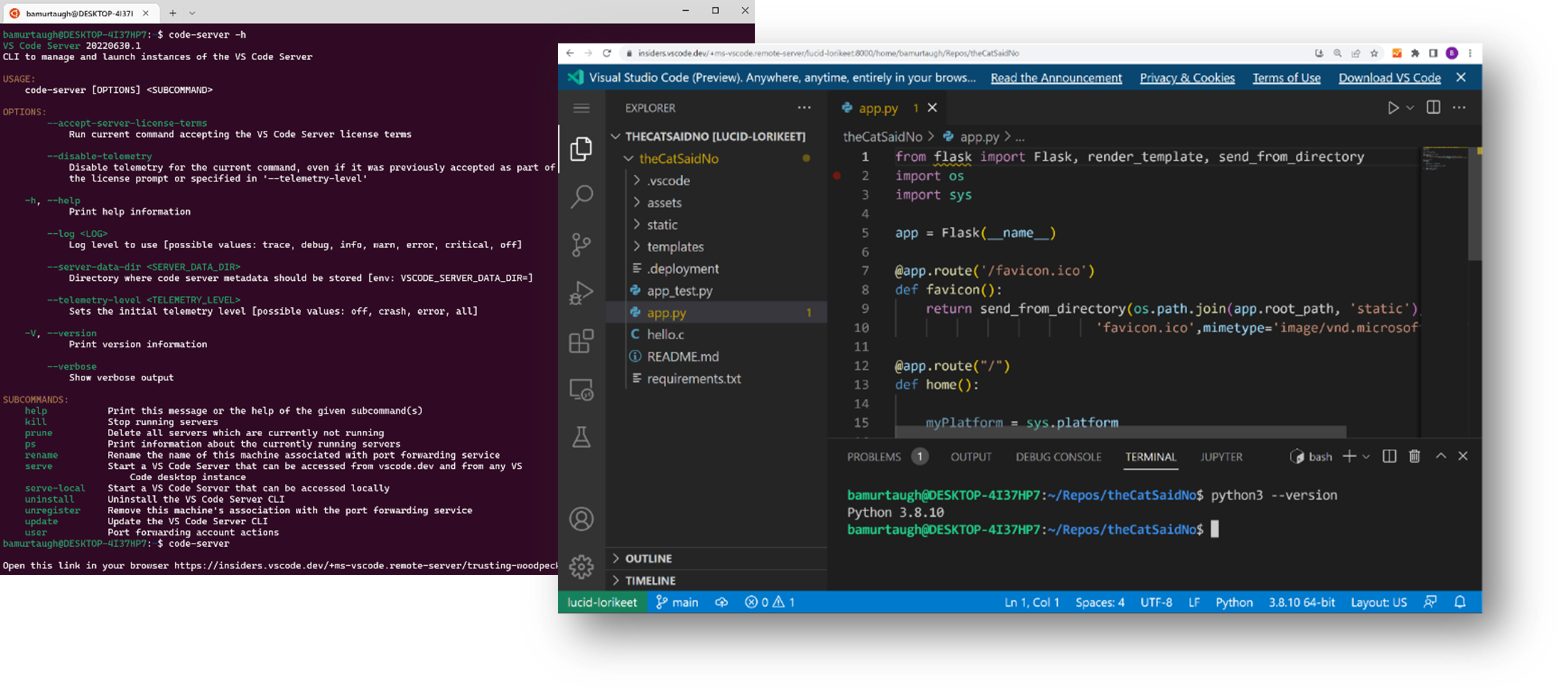 Terminal starting the VS Code Server, and vscode.dev connected to it