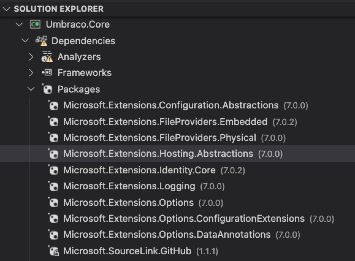 Package references in the Solution Explorer