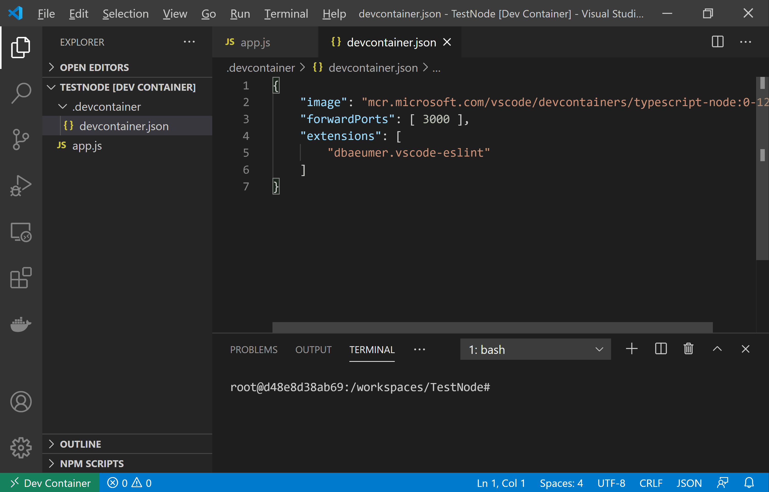 VS Code instance connected to dev container