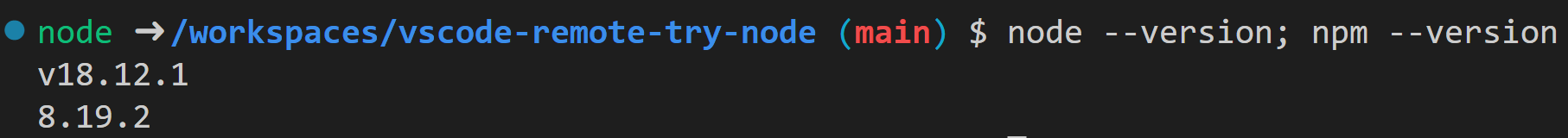Node.js version check