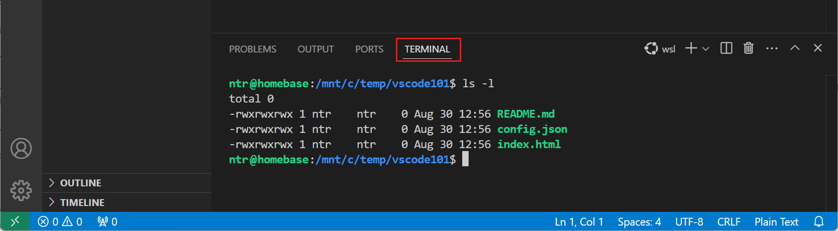 Screenshot that shows the integrated terminal in the Panel area.