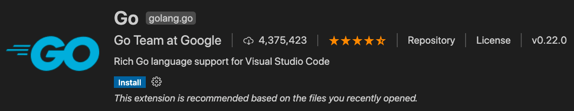 Go With Visual Studio Code