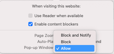 Allow pop-up window in browser