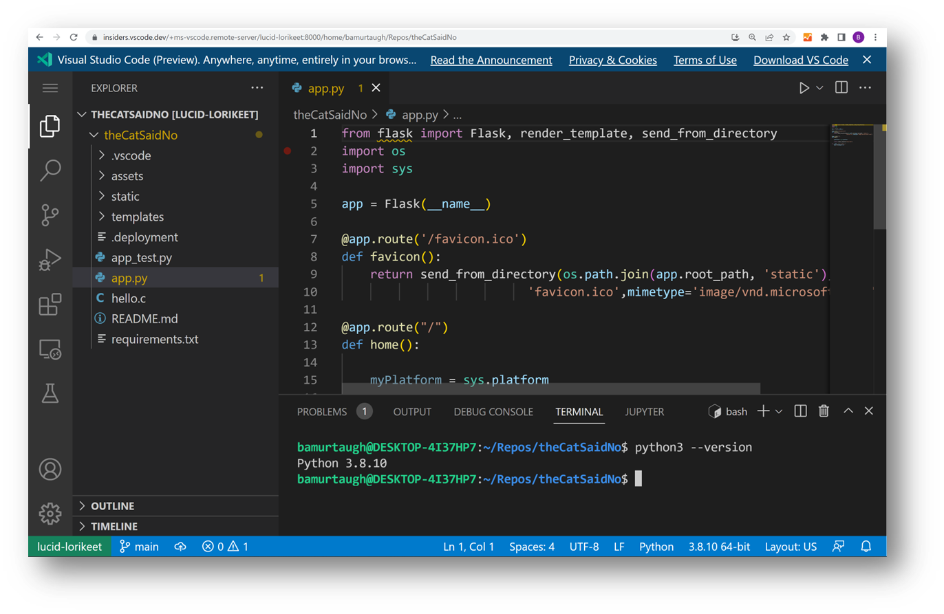 Visual Studio Code Server