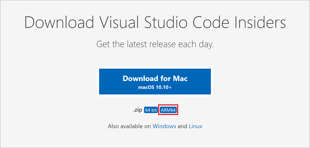 visual studio code insiders icon