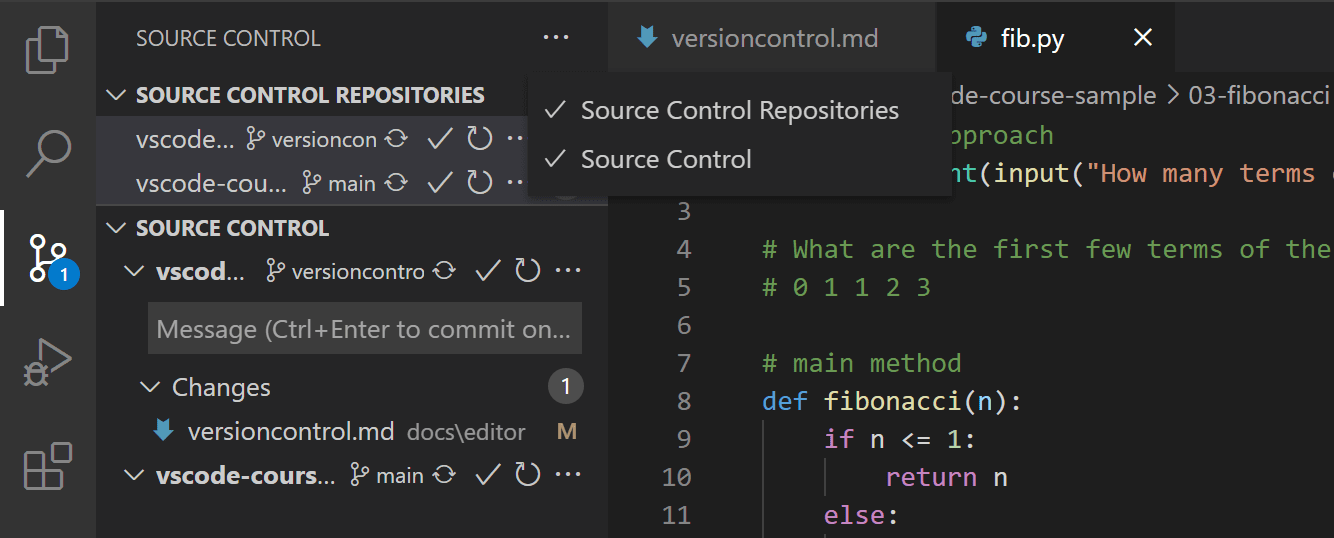 Source Control Repositories view option in overflow menu