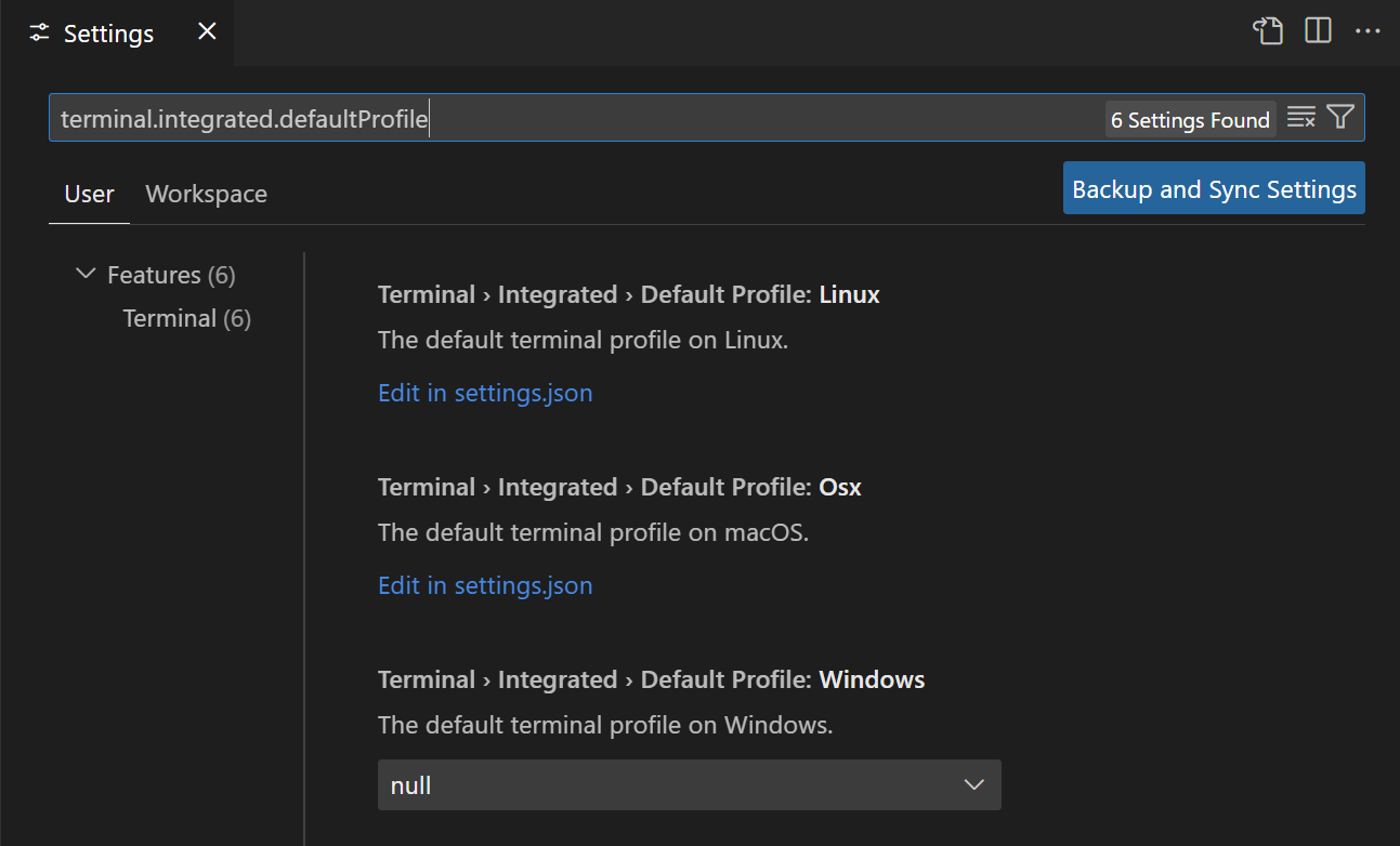 windows terminal settings opens visual studio