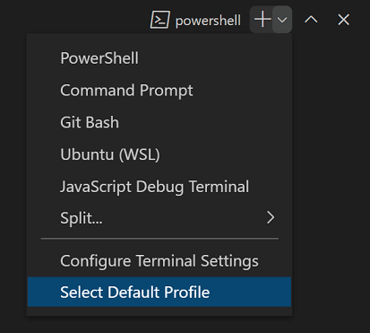 Select Default Profile is located at the bottom of the dropdown menu attached to the new terminal button