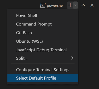 Terminal Profiles in Visual Studio Code