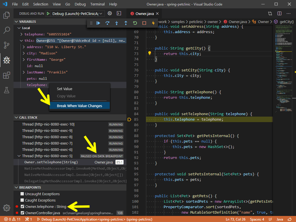 Java Data Breakpoints