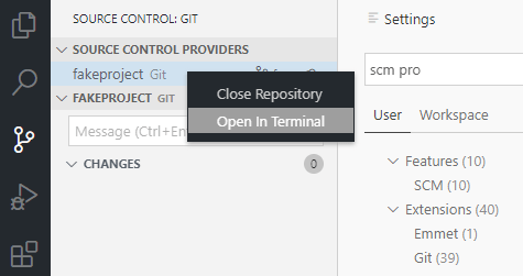 Open in terminal from Source Control view