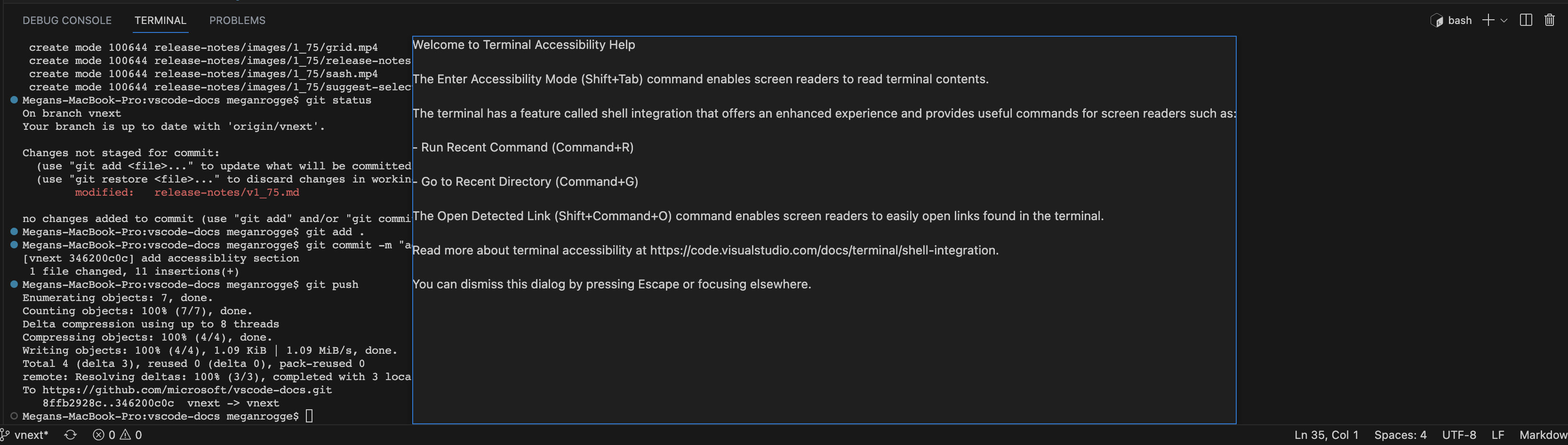 Terminal accessibility help is presented on top of the terminal