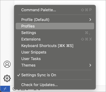 Settings menu showing the Profiles menu item to open the Profiles Editor.